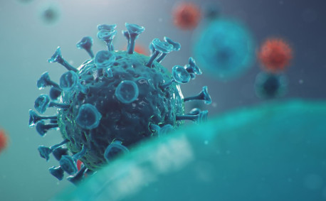 Big coronavirus 